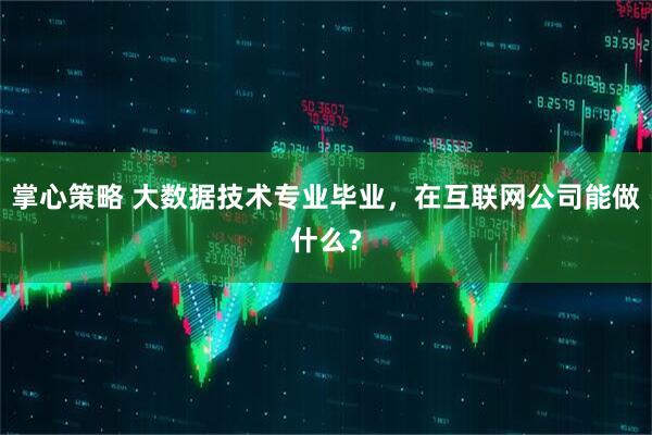 掌心策略 大数据技术专业毕业，在互联网公司能做什么？