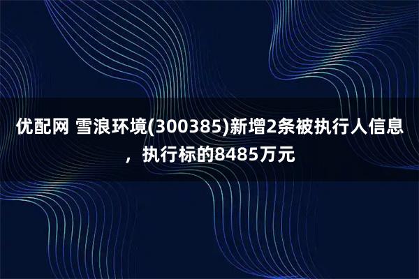 优配网 雪浪环境(300385)新增2条被执行人信息,执行标的8485万元