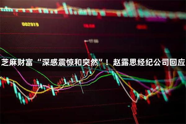 芝麻财富 “深感震惊和突然”！赵露思经纪公司回应