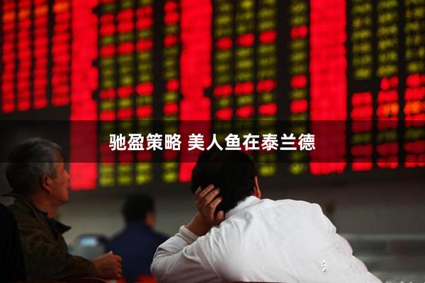 驰盈策略 美人鱼在泰兰德