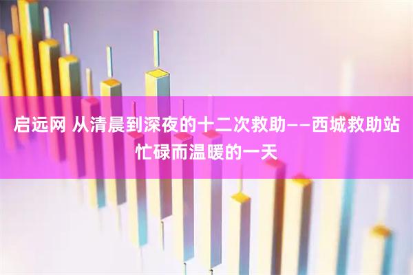 启远网 从清晨到深夜的十二次救助——西城救助站忙碌而温暖的一天